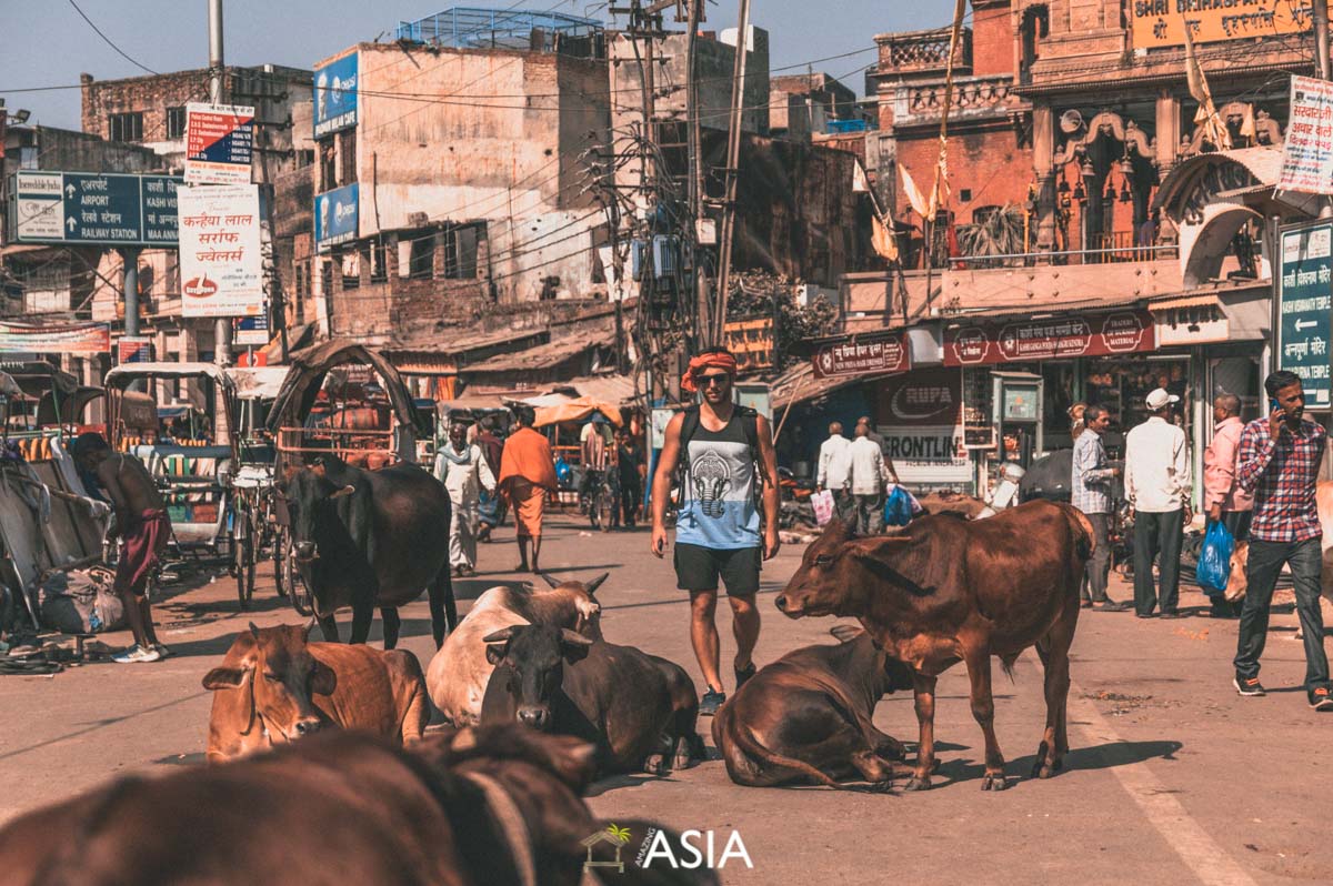 mężczyzna idący zatłoczonymi ulicami Indii